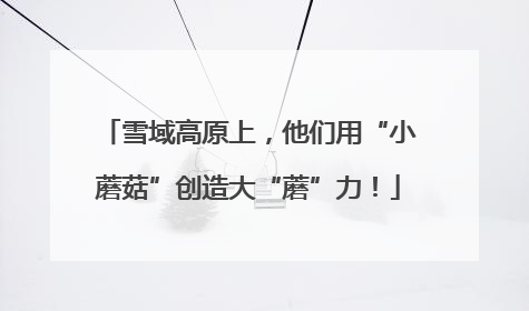 雪域高原上，他们用“小蘑菇”创造大“蘑”力！