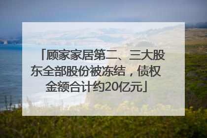 顾家家居第二、三大股东全部股份被冻结，债权金额合计约20亿元
