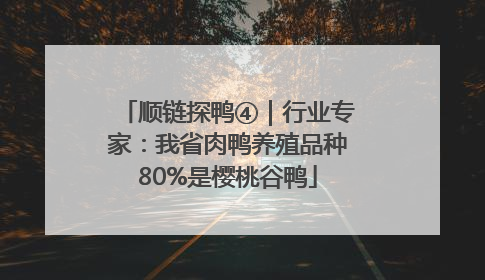 顺链探鸭④｜行业专家：我省肉鸭养殖品种80%是樱桃谷鸭
