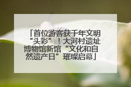 首位游客获千年文明“头彩”！大河村遗址博物馆新馆“文化和自然遗产日”璀璨启幕