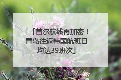 首尔航线再加密！青岛往返韩国航班日均达39班次