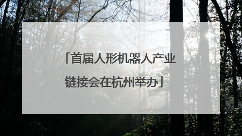 首届人形机器人产业链接会在杭州举办