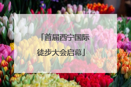 首届西宁国际徒步大会启幕