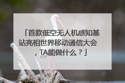 首款低空无人机感知基站亮相世界移动通信大会，TA能做什么？