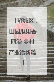 驿城区：田园瓜果香四溢 乡村产业谱新篇