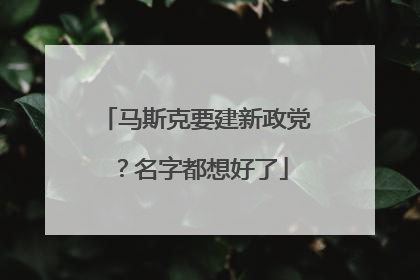马斯克要建新政党？名字都想好了
