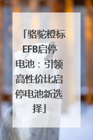 骆驼橙标EFB启停电池：引领高性价比启停电池新选择