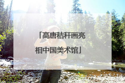 高唐秸秆画亮相中国美术馆