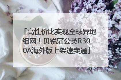 高性价比实现全球异地组网！贝锐蒲公英R300A海外版上架速卖通