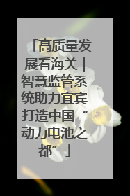 高质量发展看海关｜智慧监管系统助力宜宾打造中国“动力电池之都”