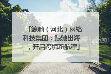 鲸驰（河北）网络科技集团：鲸驰出海，开启跨境新航程