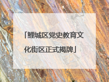 鲤城区党史教育文化街区正式揭牌