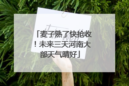 麦子熟了快抢收！未来三天河南大部天气晴好