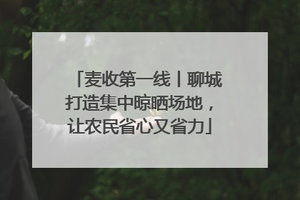 麦收第一线丨聊城打造集中晾晒场地，让农民省心又省力