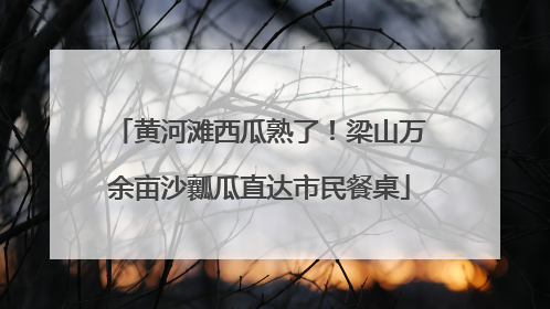 黄河滩西瓜熟了！梁山万余亩沙瓤瓜直达市民餐桌