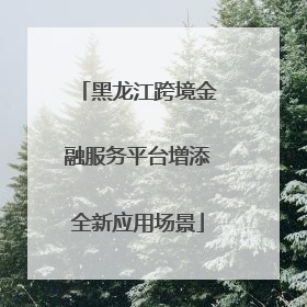 黑龙江跨境金融服务平台增添全新应用场景