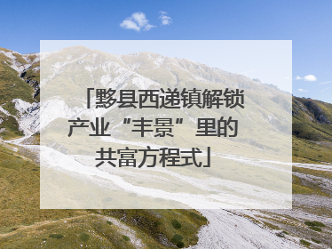 黟县西递镇解锁产业“丰景”里的共富方程式