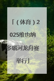 （体育）2025维也纳多瑙河龙舟赛举行