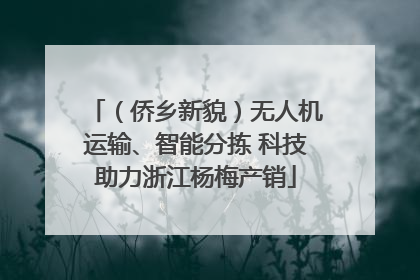 （侨乡新貌）无人机运输、智能分拣 科技助力浙江杨梅产销