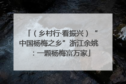 （乡村行·看振兴）“中国杨梅之乡”浙江余姚：一颗杨梅富万家