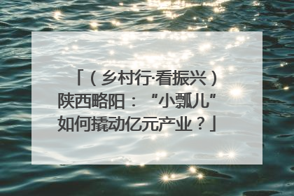 （乡村行·看振兴）陕西略阳：“小瓢儿”如何撬动亿元产业？