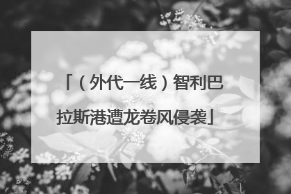 （外代一线）智利巴拉斯港遭龙卷风侵袭