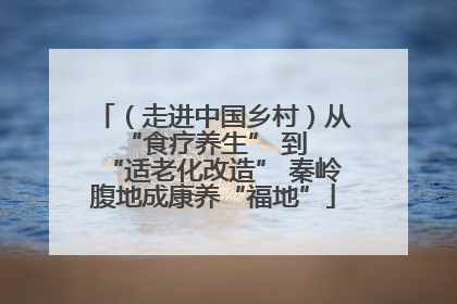 （走进中国乡村）从 “食疗养生” 到 “适老化改造” 秦岭腹地成康养“福地”