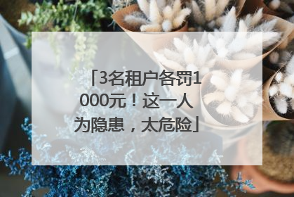 3名租户各罚1000元！这一人为隐患，太危险