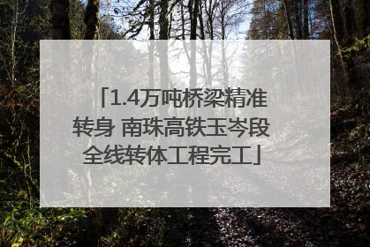 1.4万吨桥梁精准转身 南珠高铁玉岑段全线转体工程完工