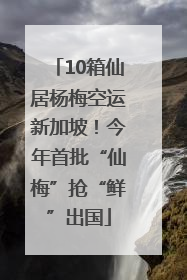 10箱仙居杨梅空运新加坡！今年首批“仙梅”抢“鲜”出国