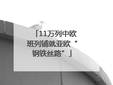 11万列中欧班列铺就亚欧“钢铁丝路”