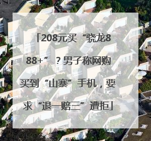 208元买“骁龙888+”？男子称网购买到“山寨”手机，要求“退一赔三”遭拒