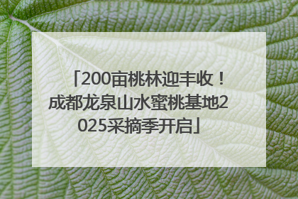 200亩桃林迎丰收！成都龙泉山水蜜桃基地2025采摘季开启