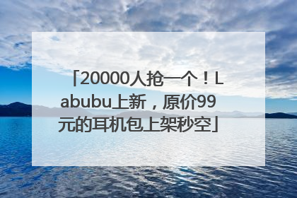 20000人抢一个！Labubu上新，原价99元的耳机包上架秒空