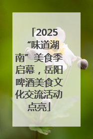2025 “味道湖南”美食季启幕，岳阳啤酒美食文化交流活动点亮