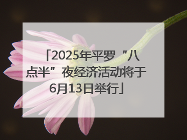2025年平罗“八点半”夜经济活动将于6月13日举行
