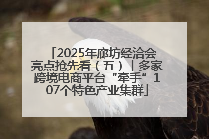 2025年廊坊经洽会亮点抢先看（五）丨多家跨境电商平台“牵手”107个特色产业集群