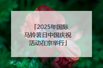 2025年国际马铃薯日中国庆祝活动在京举行