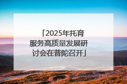2025年托育服务高质量发展研讨会在普陀召开