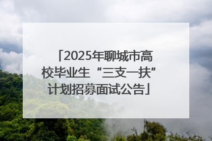 2025年聊城市高校毕业生“三支一扶”计划招募面试公告