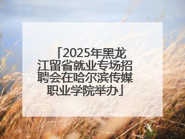 2025年黑龙江留省就业专场招聘会在哈尔滨传媒职业学院举办