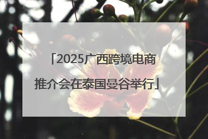 2025广西跨境电商推介会在泰国曼谷举行