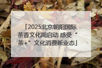 2025北京朝阳国际茶香文化周启动 感受“茶+”文化消费新业态