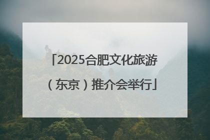 2025合肥文化旅游（东京）推介会举行