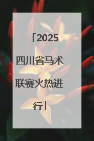 2025四川省马术联赛火热进行