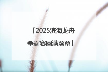 2025滨海龙舟争霸赛圆满落幕