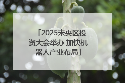 2025未央区投资大会举办 加快机器人产业布局