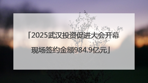 2025武汉投资促进大会开幕 现场签约金额984.9亿元