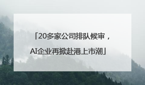 20多家公司排队候审，AI企业再掀赴港上市潮