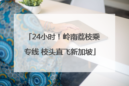 24小时！岭南荔枝乘专线 枝头直飞新加坡